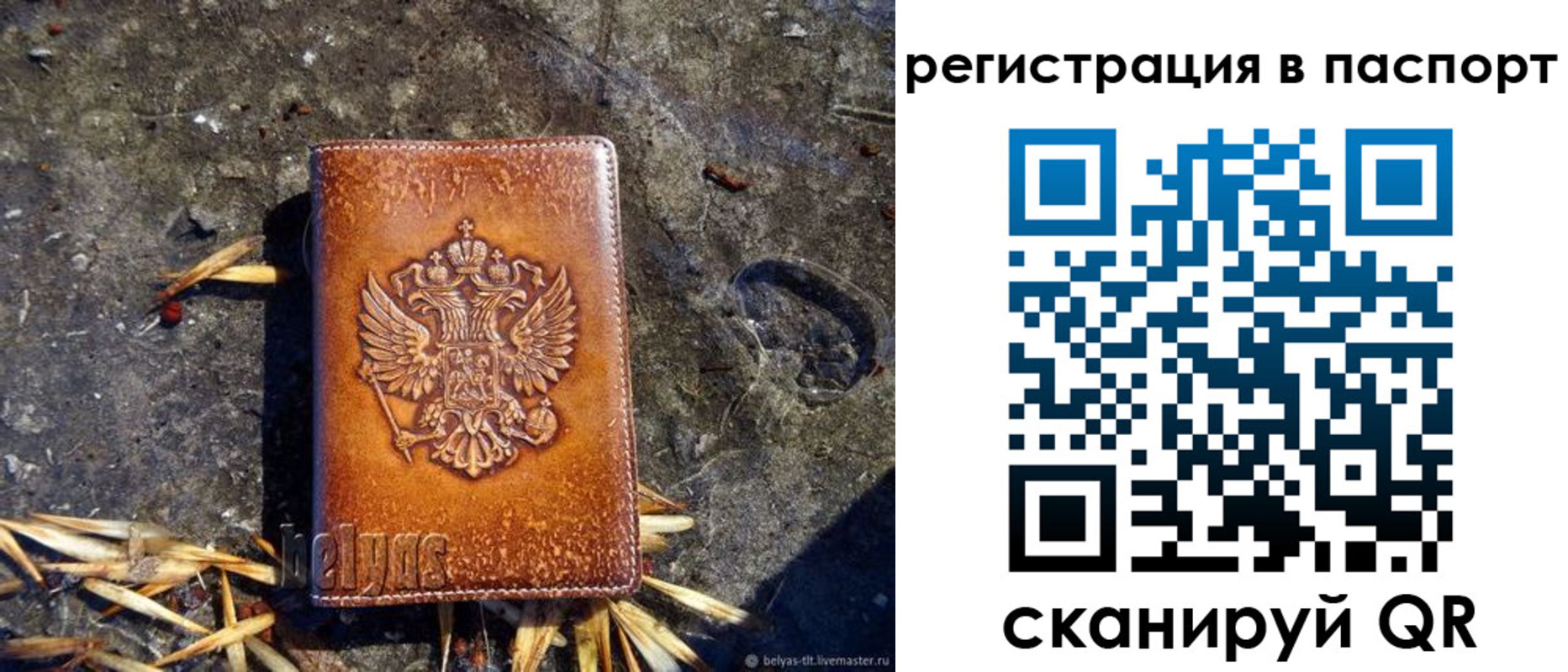 временная регистрация гарантия в Долгопрудном